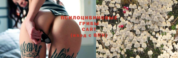 скорость Лиски